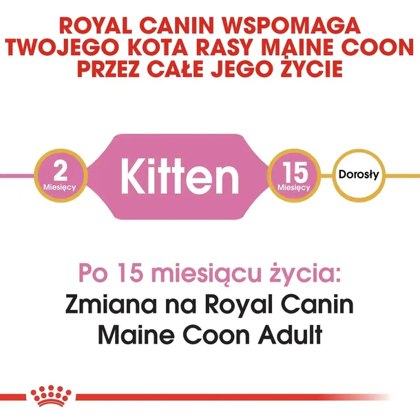 royal-canin-maine-coon-kitten-4kg-wiek-zwierzecia-kocieta-i-mlode-koty