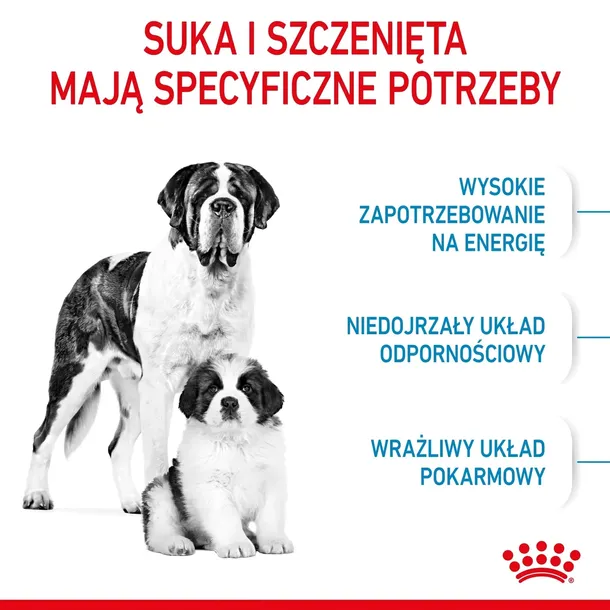 royal-canin-giant-junior-15kg-karmy-specjalne-nie-dotyczy