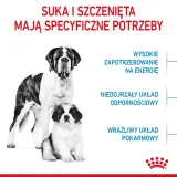 royal-canin-giant-junior-15kg-karmy-specjalne-nie-dotyczy