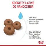 royal-canin-giant-junior-15kg-wielkosc-psa-rasy-olbrzymie-greater45-kg