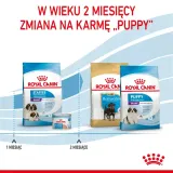 royal-canin-giant-junior-15kg-stan-nowy