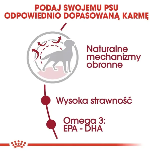royal-canin-medium-adult-4kg-wiek-zwierzecia-psy-dorosle