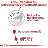 royal-canin-medium-adult-4kg-wiek-zwierzecia-psy-dorosle