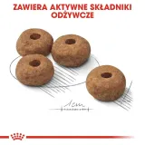 royal-canin-medium-sterilised-3kg-karmy-specjalne-dla-psow-z-nadwaga