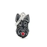 myfamily-adresowka-identyfikator-scottish-terrier