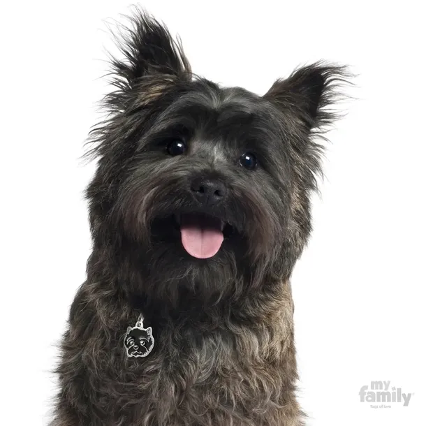 myfamily-adresowka-identyfikator-cairn-terrier-rodzaj-z-grawerem