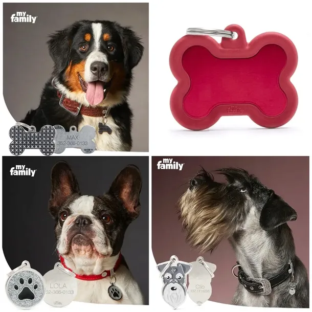 myfamily-adresowka-identyfikator-coton-de-tulear-stan-nowy-ksztalt-inny