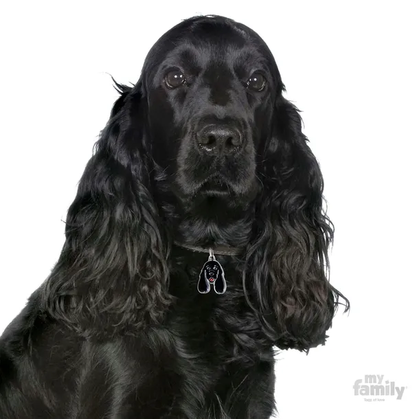 myfamily-adresowka-identyfikator-cocker-spaniel-rodzaj-z-grawerem