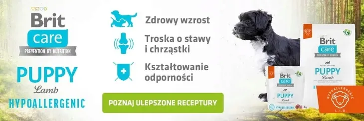 brit-care-hypoallergenic-puppy-lamb-3kg-wiek-zwierzecia-szczenieta-i-mlode-psy