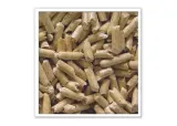 super-pinio-naturalny-10l-pojemnosc-10-l