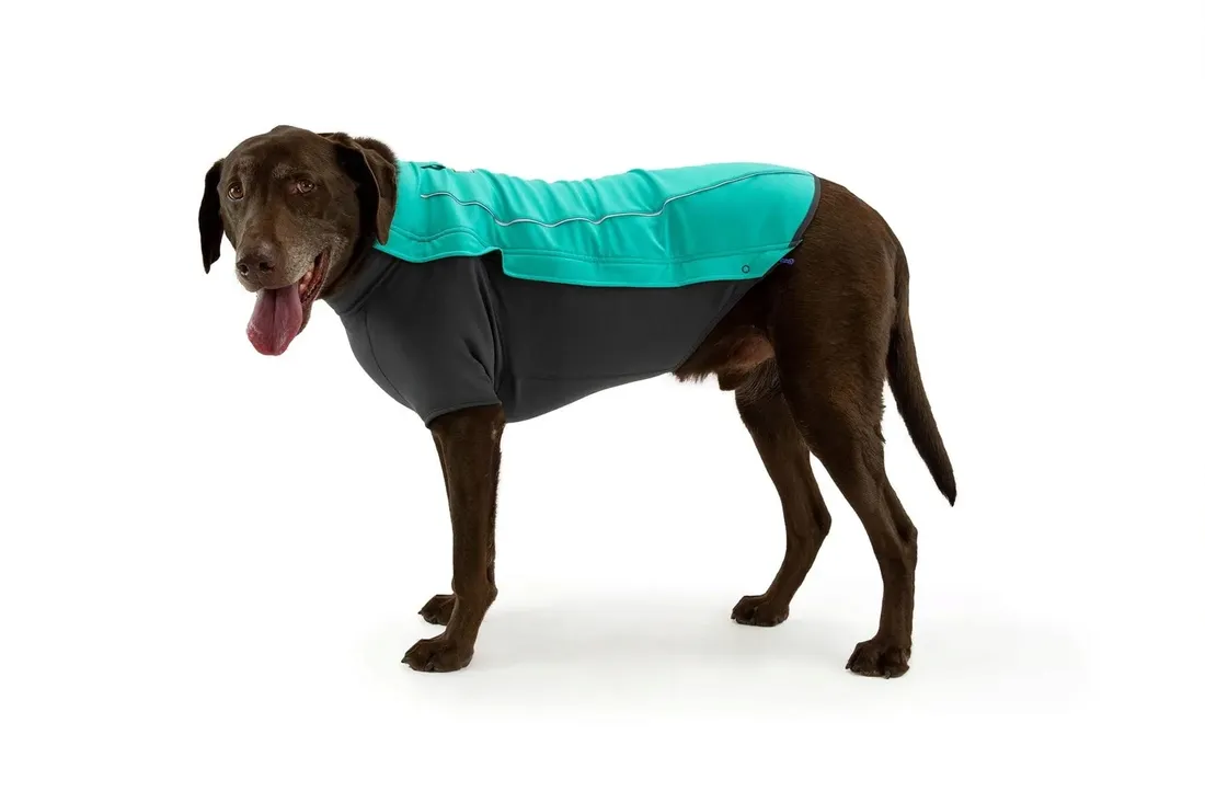 ruffwear-cloud-chaser-softshell-kurtka-aurora-xxs-stan-nowy