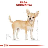 royal-canin-chihuahua-12x85g-marka-royal-canin