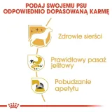 royal-canin-chihuahua-12x85g-karmy-specjalne-nie-dotyczy