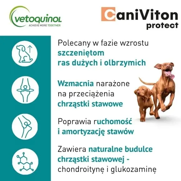 caniviton-protect-90-tabletek-rodzaj-inne