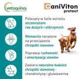 caniviton-protect-90-tabletek-rodzaj-inne