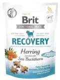 brit-functional-snack-recovery-150g-marka-brit
