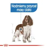 royal-canin-medium-light-weight-care-3kg-marka-royal-canin