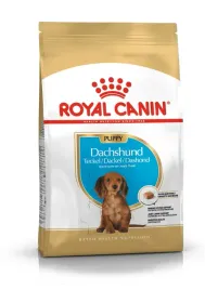 royal-canin-dachshund-puppy-15kg-jamnik