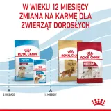 royal-canin-medium-puppy-1kg-stan-nowy