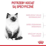 royal-canin-kitten-400g-karmy-specjalne-nie-dotyczy