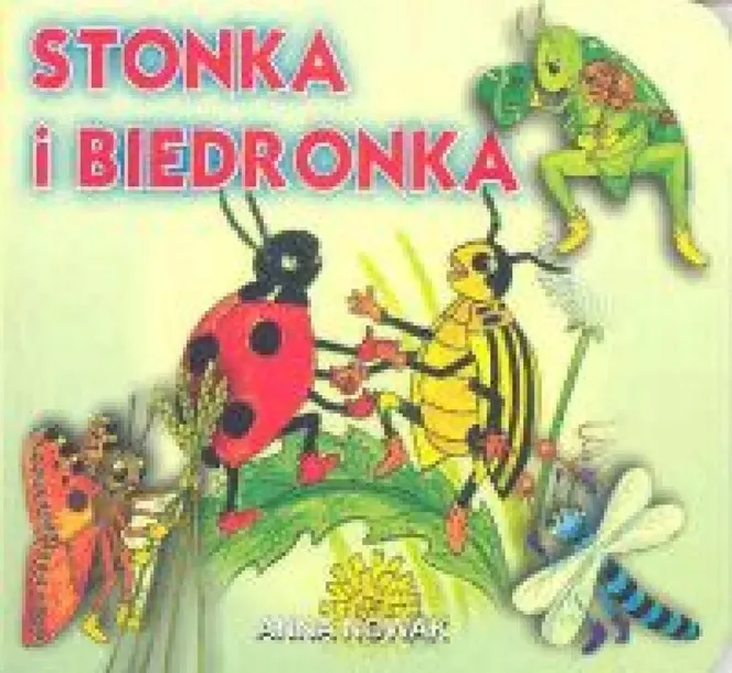 stonka-i-biedronka-stan-nowy