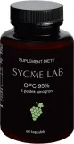 opc-sygme-lab-pestki-winogron