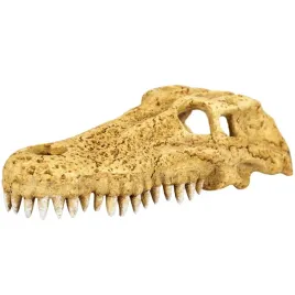 czaszka-krokodyla-do-terrarium-kryjowka-ozdoba-repti-zoo-crocodile-skull-m