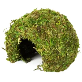kryjowka-z-mchu-do-terrarium-repti-zoo-natural-mossy-dome-s