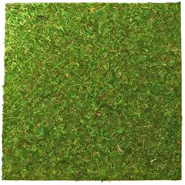tlo-i-podloze-z-mchu-45x45cm-repti-zoo-natural-moss-backandbottom