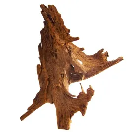 drzewo-mangrowca-z-wody-xl-40cm-50cm-philippines-classic-driftwood