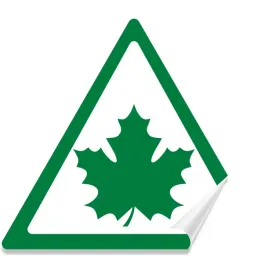 naklejka-grafika-mlody-kierowca-zielony-listek-lisc-14x12-na-szybe-samochod