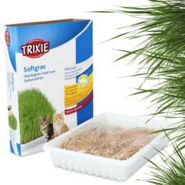 trawa-kota-nasiona-100g-trawka-kotow-szybkorosnaca-zdrowa-przysmak-smakolyk