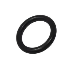 oring-karcher-10-x-22-zaworu-glowicy-pompy-6-362-077-0