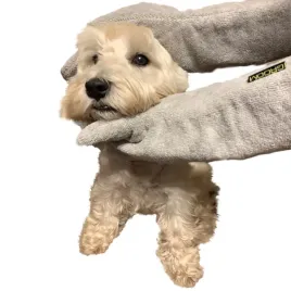 rekawiczki-do-suszenia-psa-groom-rub-down-mitts