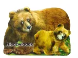 niedzwiadek-liwona-karton-wydawnictwo-liwona