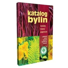 katalog-bylin-kwiaty-trawy-paprocie