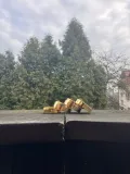 mlynek-grinder-mlynek-do-suszu