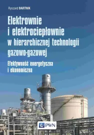 elektrownie-i-elektrocieplownie-w-hierarchicznej-technologii-gazowo-gazowej