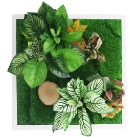 bello-horizonte-50x50-ogrod-scienny-3d-garden-point-dekoracja-wnetrza