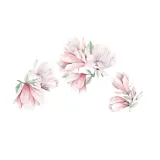 naklejka-scienna-magnolia-dk385