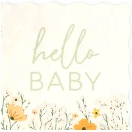 serwetki-papierowe-baby-shower-hello-baby-ginger-ray-33-cm-17-szt