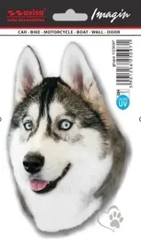 naklejka-wlep-znaczek-tattoo-na-auto-folia-samoprzylepna-piesek-husky-145