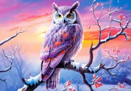 puzzle-500-ukladanka-widok-zwierzeta-sowa-ptak-zima-las-snieg-noc-9-castor