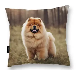 poduszka-z-psem-chow-chow-40x40-prezent-miekka-duza-do-spania-dekoracyjna