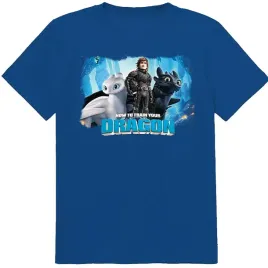 koszulka-dziecieca-t-shirt-dla-dziecka-jak-wytresowac-smoka-164-jakosc