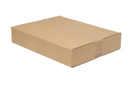 karton-klapowy-400x300x80mm-zew-b320-opakowanie-wysylkowe-skrytka-a-50-szt