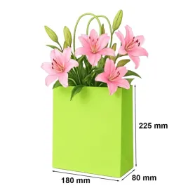 torba-papierowa-180x80x225-zielona-torba-ozdobna-prezentowa-25-sztuk