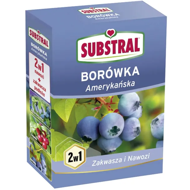 nawoz-do-borowek-1kg-substral