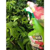 spray-na-choroby-grzybowe-750ml-compo-bio-stan-nowy