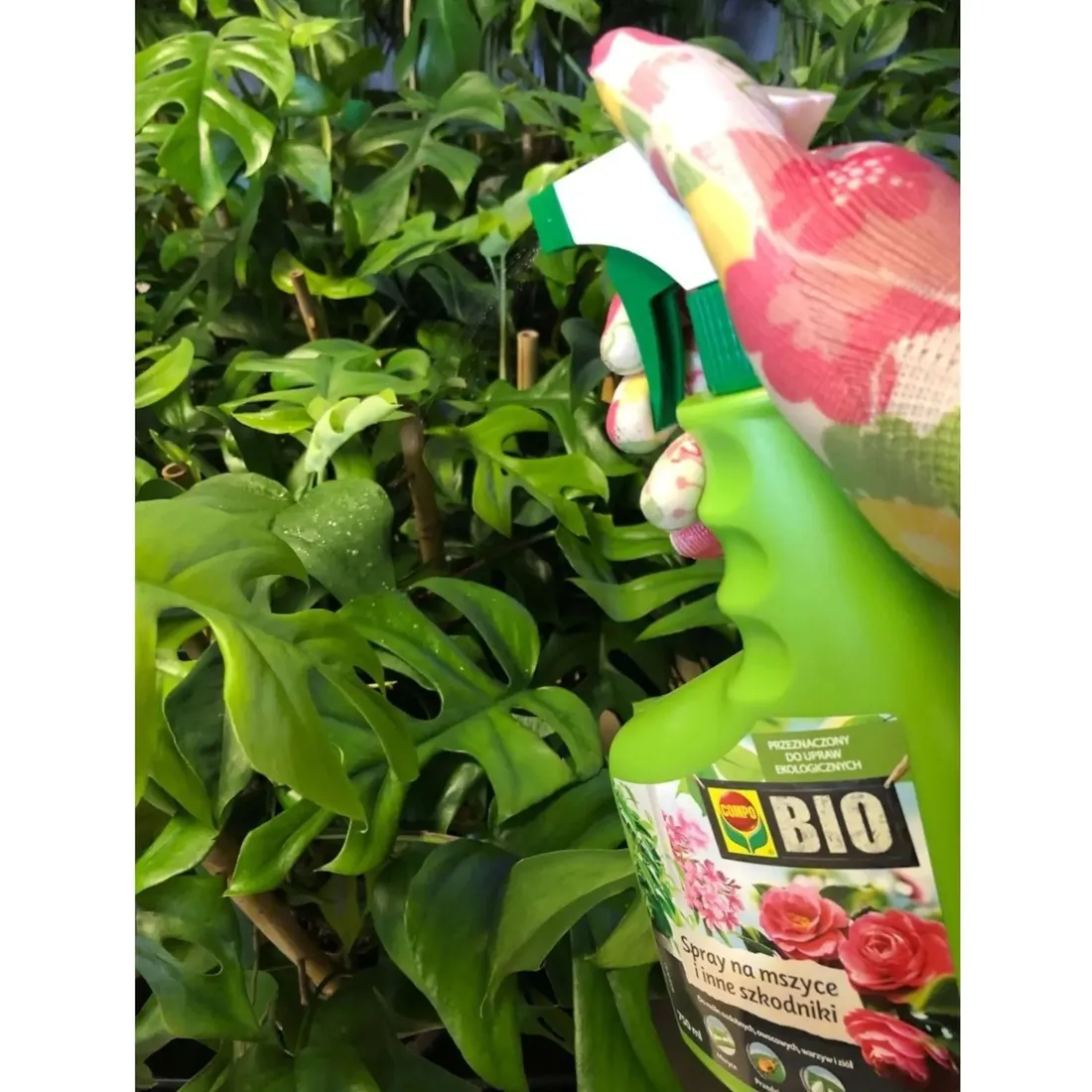 spray-na-choroby-grzybowe-750ml-compo-bio